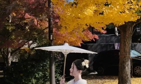 Bỏ túi mẹo du lịch cực "hời" và những góc check-in ít người biết tại Nhật Bản