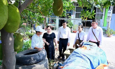 Củng cố phòng dịch tay chân miệng, sốt xuất huyết tại Tây Ninh