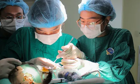 Thủng màng nhĩ do viêm tai giữa kéo dài