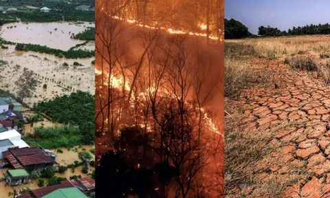 Biến đổi khí hậu ảnh hưởng đến Việt Nam ra sao và vai trò của công ty vệ sinh môi trường Thịnh Phát