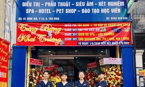 Dịch vụ grooming thú cưng Tân Bình: Tắm, cắt lông, spa – ở đâu tốt?