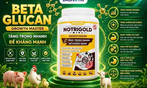 DASNOTRI - Giải pháp vàng cho chăn nuôi bền vững và hiệu quả
