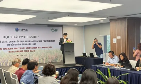 Thúc đẩy sản xuất lúa phát thải thấp: Cần hoàn thiện cơ chế, chính sách và mở rộng chuỗi giá trị