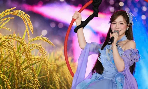 Bộ rễ tri thức và trách nhiệm phụng sự cộng đồng trong sáng tạo nghệ thuật