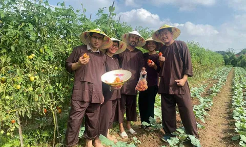 Du lịch nông nghiệp trải nghiệm: Khơi nguồn giá trị nội sinh văn hóa làng quê để phát triển bền vững