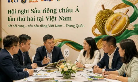 Hội nghị Sầu Riêng châu Á lần thứ 2: Điểm hẹn chiến lược nâng tầm chuỗi cung ứng chính ngạch Việt - Trung