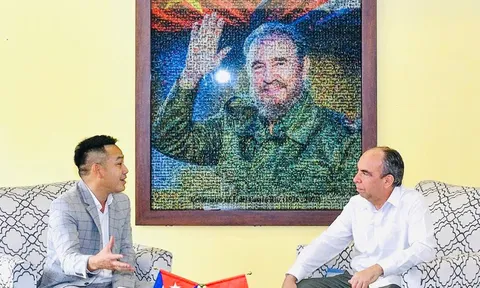 Tác phẩm "Nụ cười Fidel"