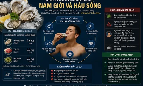 Hàu sống có thực sự là “thần dược” cho nam giới?