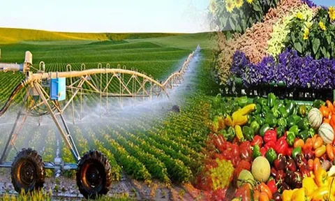 Suy ngẫm về chiến lược phát triển nông thôn trong điều kiện mới: Kinh nghiệm của Mỹ, Hàn Quốc, Nhật Bản và gợi ý cho Việt Nam