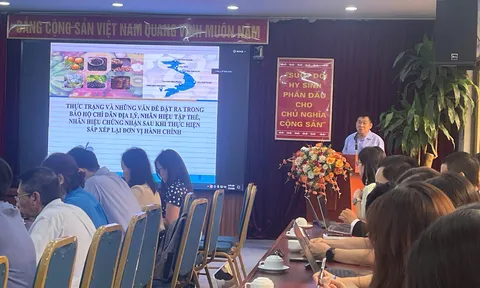 Hội thảo đề xuất giải pháp tháo gỡ khó khăn trong đăng ký, quản lý chỉ dẫn địa lý, nhãn hiệu tập thể, nhãn hiệu chứng nhận sau khi thực hiện chính quyền địa phương hai cấp