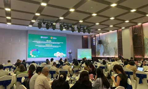 Hành trình chuyển đổi hệ thống lương thực, thực phẩm Việt Nam: Hài hòa ưu tiên quốc gia và định hướng toàn cầu trong giai đoạn hiện nay