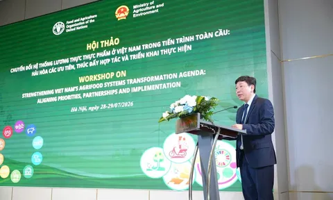 Việt Nam thúc đẩy chuyển đổi hệ thống lương thực thực phẩm theo hướng tích hợp, bền vững và có trách nhiệm trong tiến trình toàn cầu