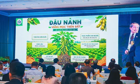 Đậu nành - ‘vàng mọc trên đất’