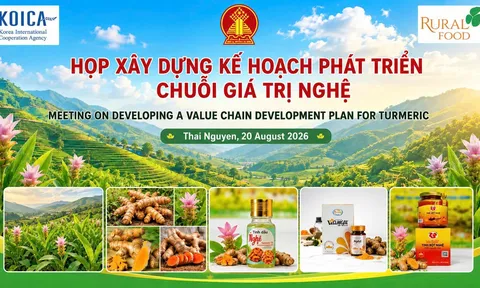 Thái Nguyên xây dựng kế hoạch nâng cấp chuỗi giá trị dong riềng, nghệ và bí xanh thơm
