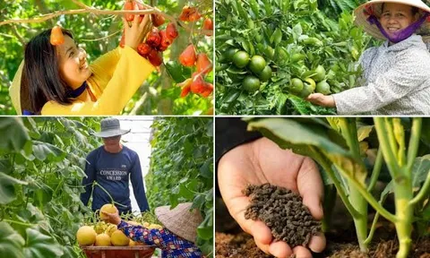 Phương hướng, quan điểm, nhiệm vụ và giải pháp phát triển nông nghiệp sinh thái, xanh, tuần hoàn trong giai đoạn mới