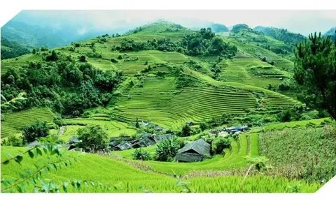Cơ sở lý luận, thực tiễn và định hướng chiến lược của Đảng về phát triển nông nghiệp sinh thái, xanh và tuần hoàn
