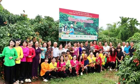CHỨNG NHẬN CHỈ DẪN ĐỊA LÍ “TÂN YÊN” - ĐÒN BẨY NÂNG TẦM ĐẶC SẢN VẢI CHÍN SỚM BẮC NINH