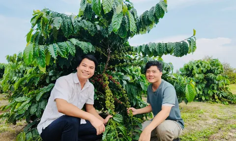 Thoát khỏi vòng xoáy "được mùa mất giá": Lời giải nào cho nông sản Việt?