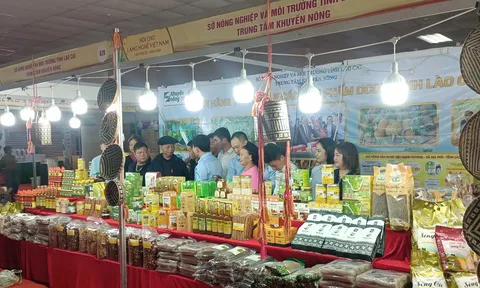 Lào Cai đưa hơn 98 sản phẩm OCOP, nông sản đặc trưng đến gần hơn với thị trường