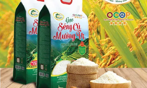 Nông dân Việt Nam xuất sắc nâng tầm gạo Séng Cù Mường Vi đạt chuẩn OCOP