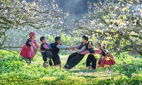 Không gian tĩnh tại và hành trình tôn vinh trà Việt: Chào đón Maison De Thé Mộc Châu