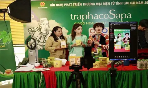 Xúc tiến thương mại mở đường cho nông sản Lào Cai vươn xa