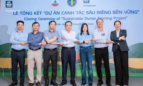 Lan tỏa thành công mô hình sầu riêng bền vững tại Đắk Lắk