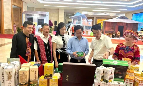 Lào Cai kết nối đầu tư, quảng bá nông sản, mở rộng thị trường tiêu thụ