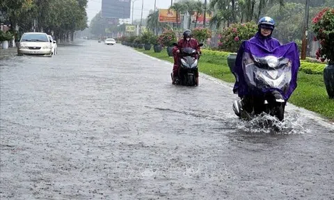 Bộ Nông nghiệp và Phát triển nông thôn chỉ đạo các địa phương Bắc Bộ, Bắc Trung Bộ ứng phó với áp thấp và mưa lớn