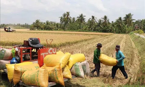 Công bố Đề án thúc đẩy hợp tác quốc tế trong nông nghiệp và phát triển nông thôn đến năm 2030, tầm nhìn đến năm 2050