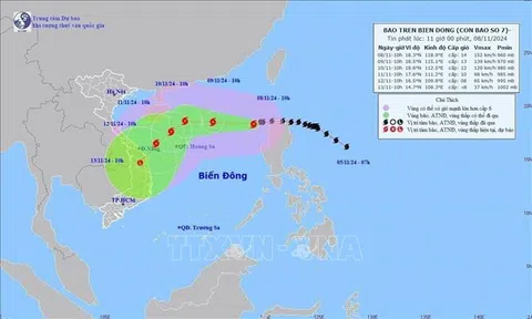 Bão số 7 di chuyển hướng Tây Tây Nam, giật cấp 17