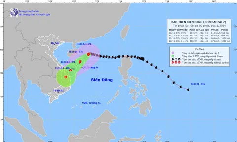 Chủ động ứng phó với diễn biến và tác động của bão số 7, lại xuất hiện cơn bão mới có tên là TORAJI