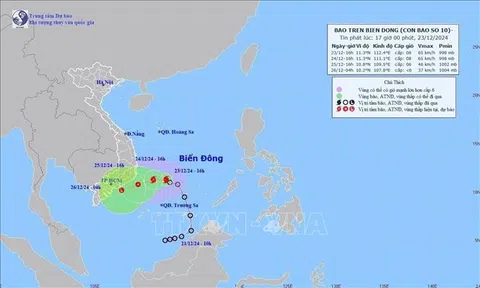 ​Các tỉnh, thành phố ven biển từ Phú Yên đến Cà Mau chủ động ứng phó bão số 10