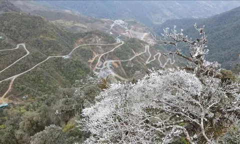 Bắc Bộ và Bắc Trung Bộ trời rét đậm, vùng núi cao có khả năng xảy ra băng giá và sương muối