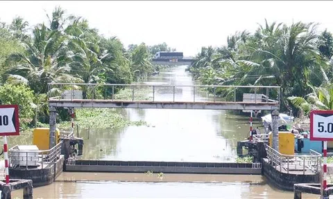 Đồng bằng sông Cửu Long: Xâm nhập mặn tăng cao, các địa phương cần tích trữ nước ngọt