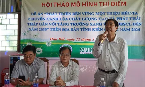 Kiên Giang: Mở rộng diện tích thực hiện Đề án 1 triệu ha lúa chuyên canh chất lượng cao