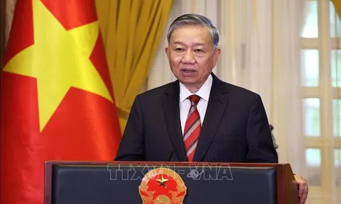 Tổng Bí thư Tô Lâm làm Trưởng Ban Chỉ đạo Trung ương về hoàn thiện thể chế, pháp luật