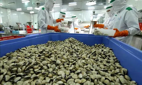 Bốn tháng đầu năm, xuất siêu nông - lâm - thủy sản gần 5,2 tỷ USD