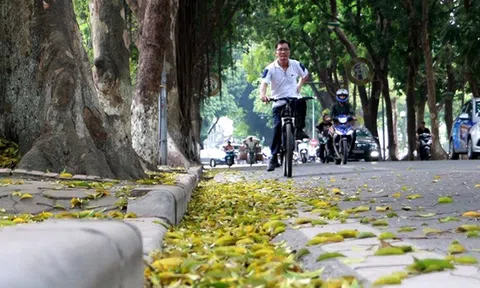 Bắc Bộ và Bắc Trung Bộ đêm có mưa, ngày nắng