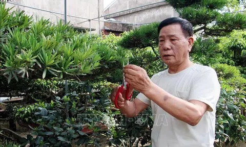 Nam Định: Nhiều tập thể, cá nhân làm việc có ích theo gương Bác