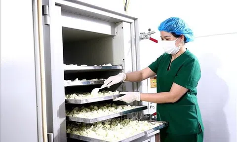 Hoà Bình: Gia tăng nội lực và giá trị cho sản phẩm OCOP