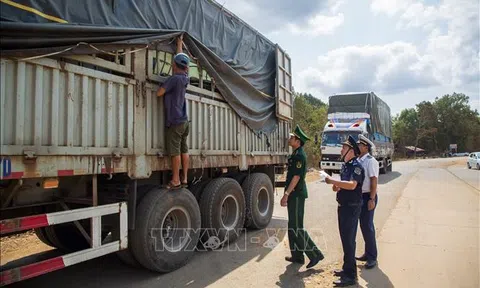 Xử lý nghiêm các vi phạm về nông lâm thủy sản và vật tư nông nghiệp