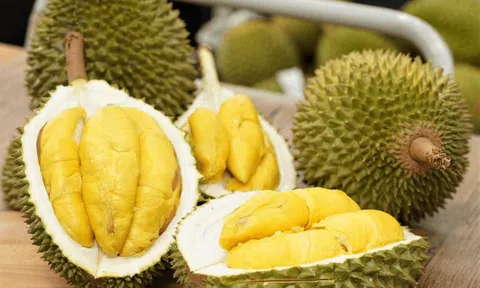 Thủ tướng Chính phủ chỉ đạo thúc đẩy sản xuất và xuất khẩu sầu riêng bền vững