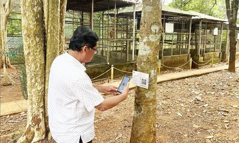 Bình Phước: Bảo vệ rừng ở Vườn quốc gia Bù Gia Mập bằng mã QR 