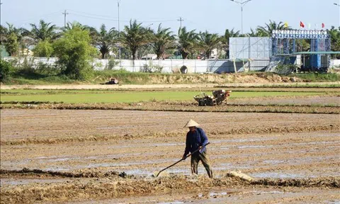 Trung Bộ: Có nguy cơ thiếu nước khi vào cao điểm mùa khô từ nay đến cuối vụ Hè Thu 2025, hạn hán cục bộ