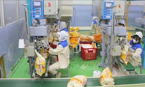 Việt Nam thuộc nhóm nước tự chủ lương thực hàng đầu