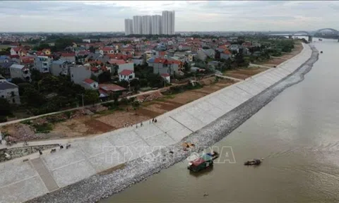 Chú ý triển khai công tác hộ đê, đảm bảo an toàn hệ thống đê điều