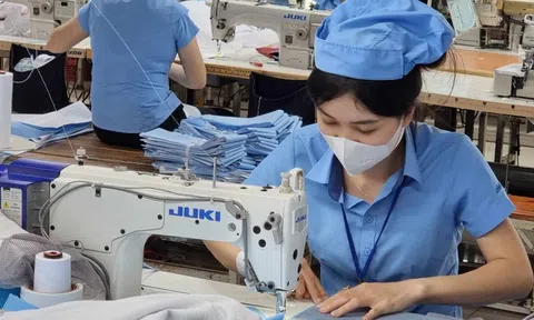 Hội đồng Tiền lương quốc gia năm 2025 chưa đạt được phương án tăng lương