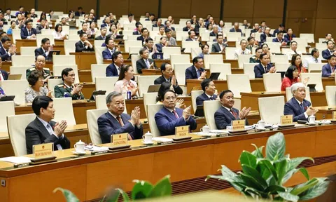 Kỳ họp thứ 9, Quốc hội khóa XV - Kỳ họp lịch sử: Các quyết sách, luật được thông qua tại Kỳ họp có tính cách mạng