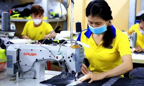 Công đoàn Việt Nam đề xuất tăng lương tối thiểu vùng mức 9,2%